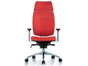 Leather Executive Chair CG-GY760